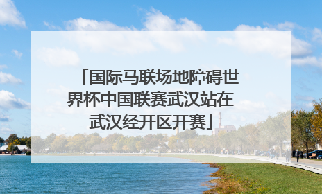 国际马联场地障碍世界杯中国联赛武汉站在武汉经开区开赛